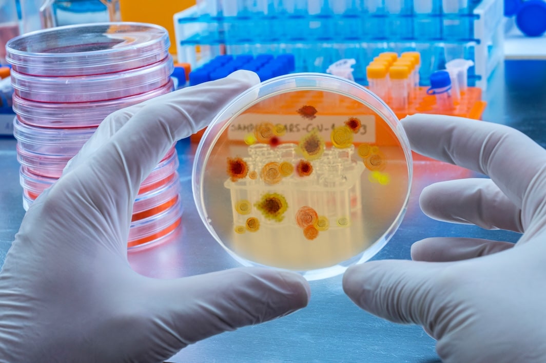 Malaria-Fighting Breakthrough: Revolutionizing Protection – Hospital News